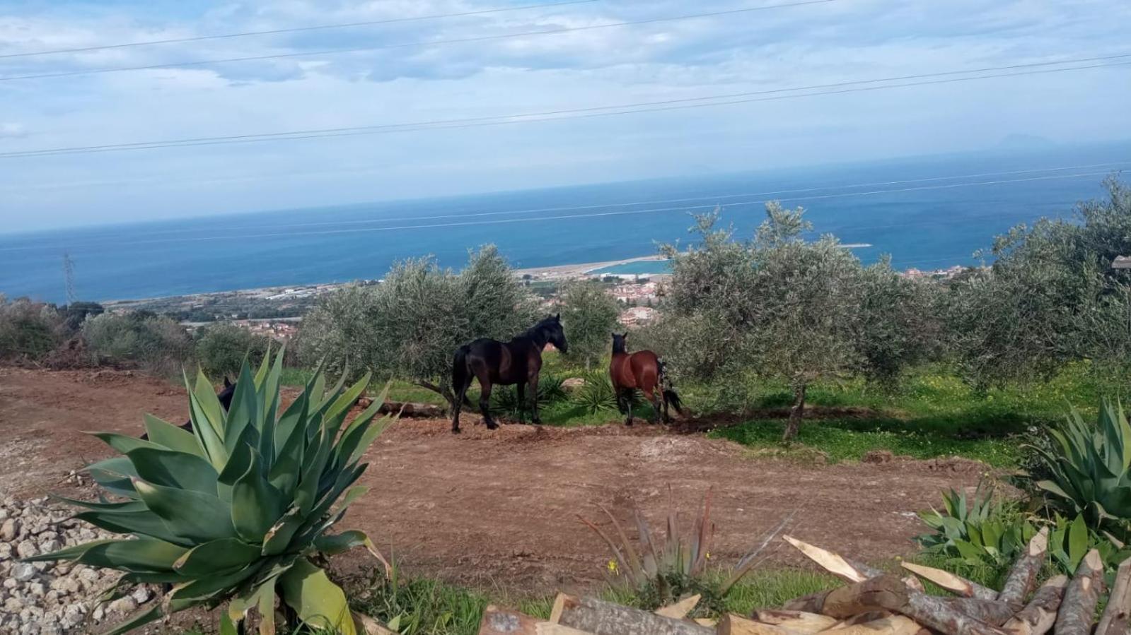 Villa Agriturismo Serre SantʼAgata di Militello Exterior foto